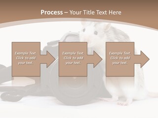 Take Creative Artist PowerPoint Template