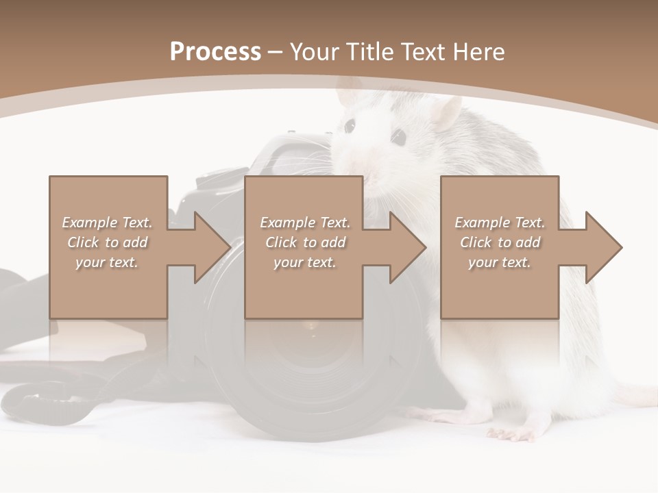 Take Creative Artist PowerPoint Template