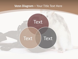 Take Creative Artist PowerPoint Template