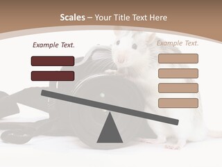 Take Creative Artist PowerPoint Template