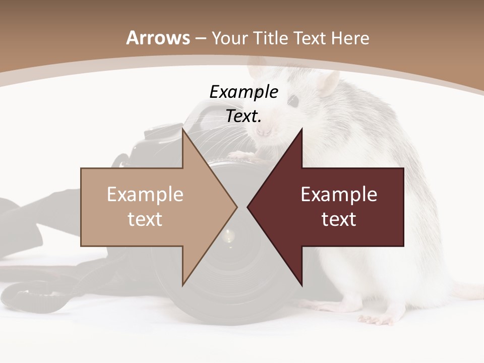 Take Creative Artist PowerPoint Template