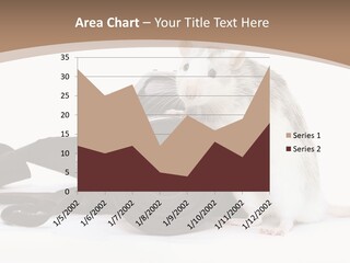 Take Creative Artist PowerPoint Template