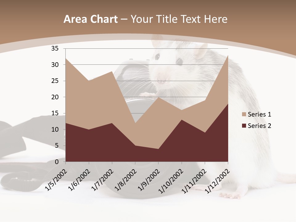Take Creative Artist PowerPoint Template