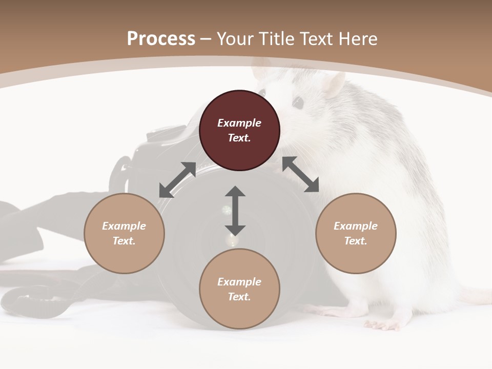 Take Creative Artist PowerPoint Template