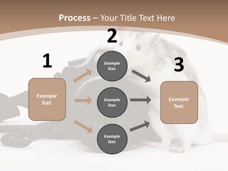 Take Creative Artist PowerPoint Template