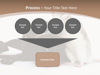 Take Creative Artist PowerPoint Template