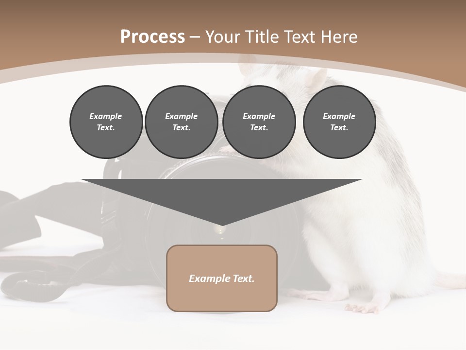Take Creative Artist PowerPoint Template