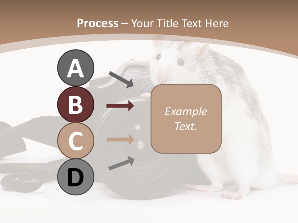 Take Creative Artist PowerPoint Template