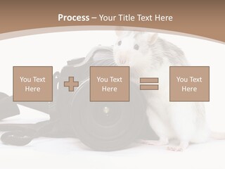 Take Creative Artist PowerPoint Template