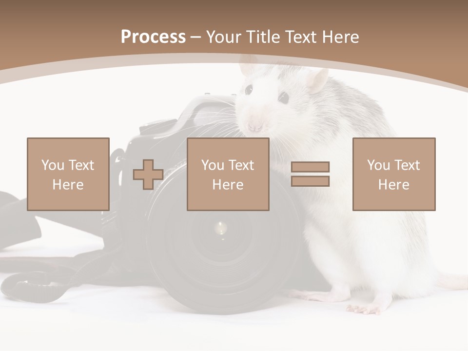 Take Creative Artist PowerPoint Template