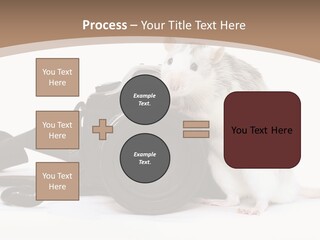 Take Creative Artist PowerPoint Template