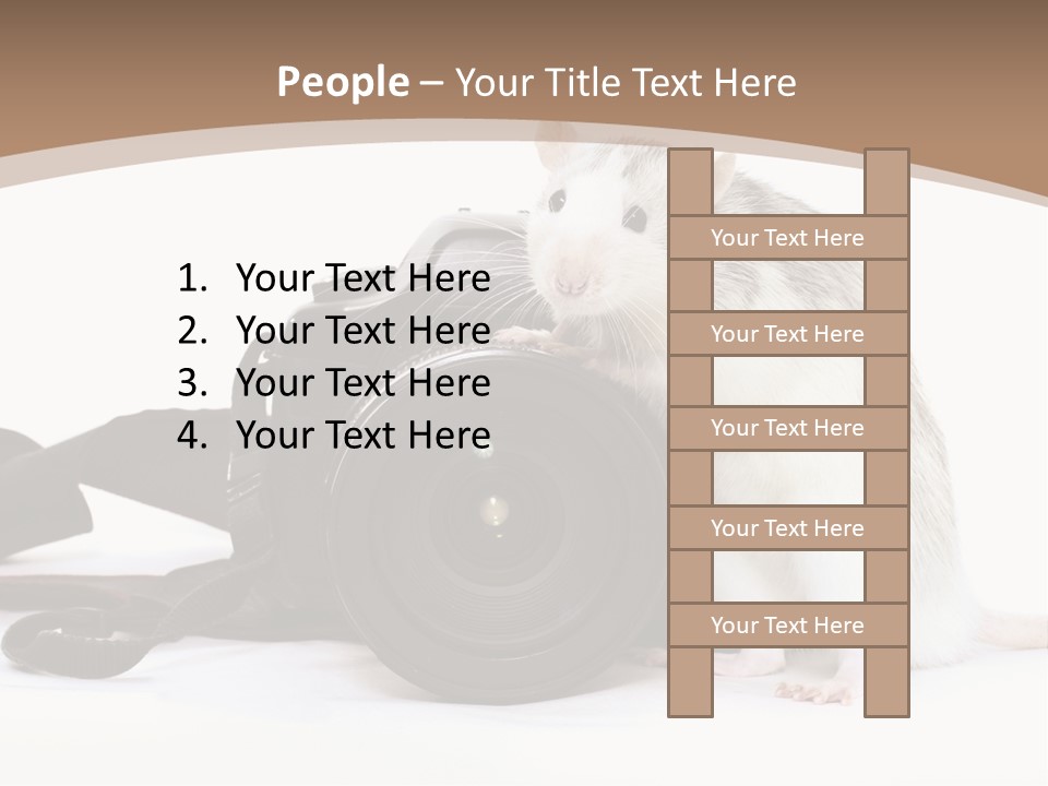 Take Creative Artist PowerPoint Template