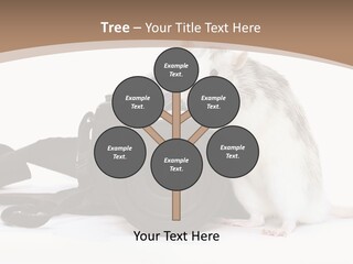 Take Creative Artist PowerPoint Template