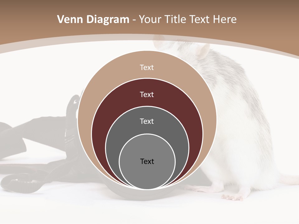 Take Creative Artist PowerPoint Template