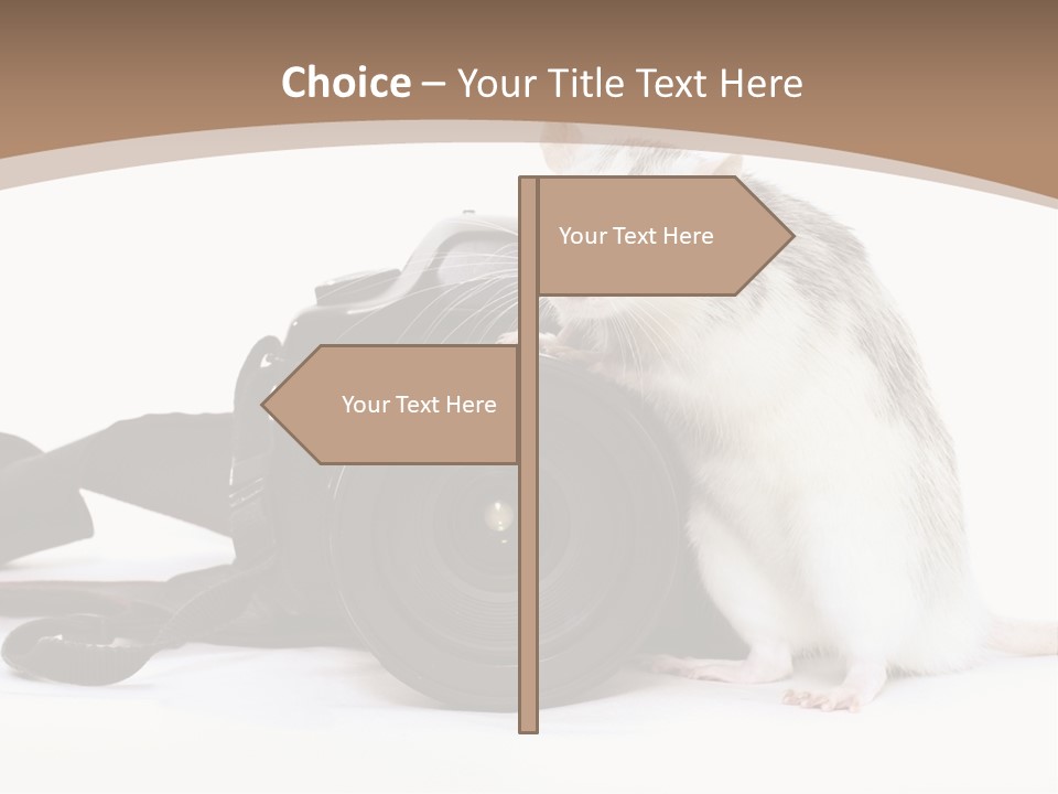 Take Creative Artist PowerPoint Template