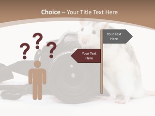 Take Creative Artist PowerPoint Template