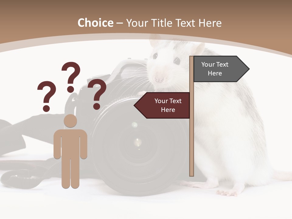 Take Creative Artist PowerPoint Template