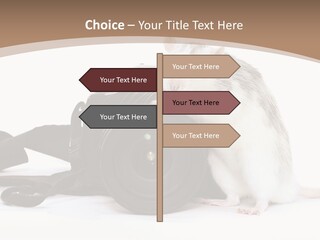 Take Creative Artist PowerPoint Template