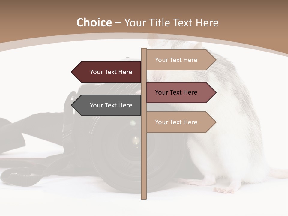 Take Creative Artist PowerPoint Template