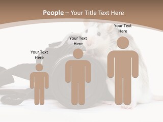 Take Creative Artist PowerPoint Template