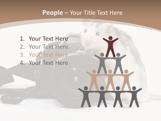 Take Creative Artist PowerPoint Template