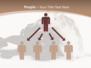 Take Creative Artist PowerPoint Template