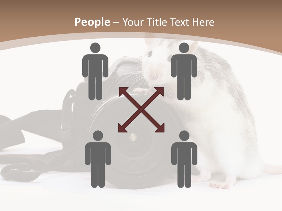 Take Creative Artist PowerPoint Template