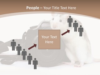 Take Creative Artist PowerPoint Template