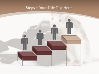 Take Creative Artist PowerPoint Template