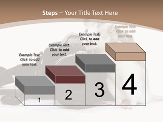 Take Creative Artist PowerPoint Template