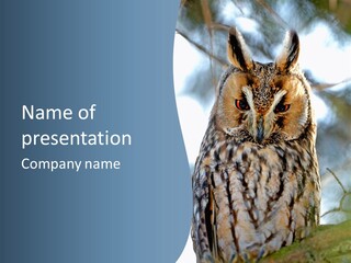 Portrait Tree Predator PowerPoint Template