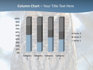 Portrait Tree Predator PowerPoint Template