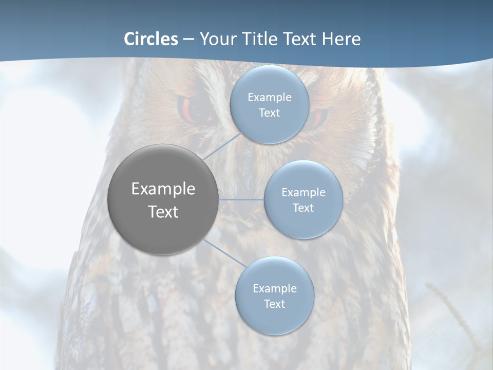 Portrait Tree Predator PowerPoint Template