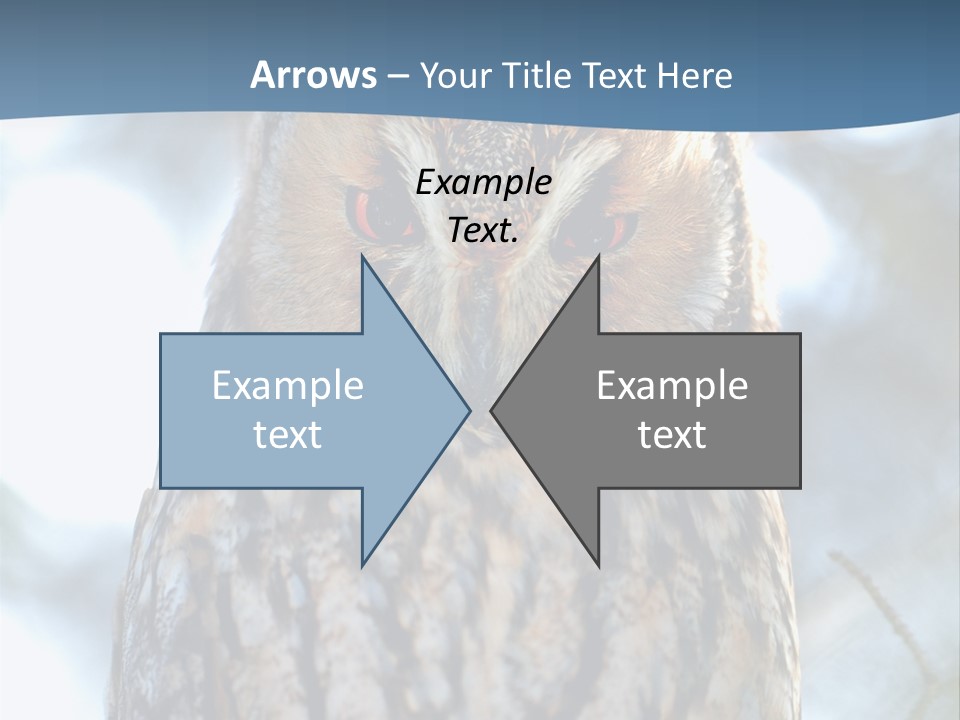 Portrait Tree Predator PowerPoint Template