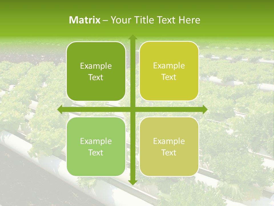 Growing Good Background PowerPoint Template