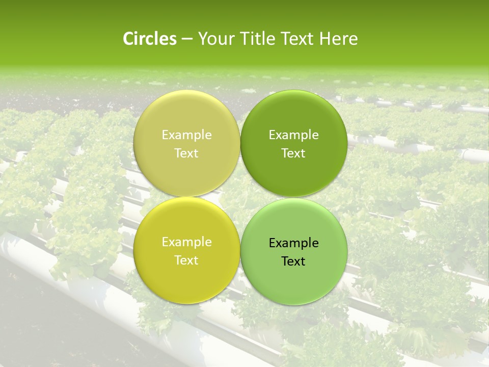 Growing Good Background PowerPoint Template