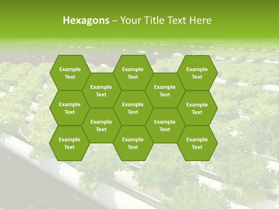 Growing Good Background PowerPoint Template