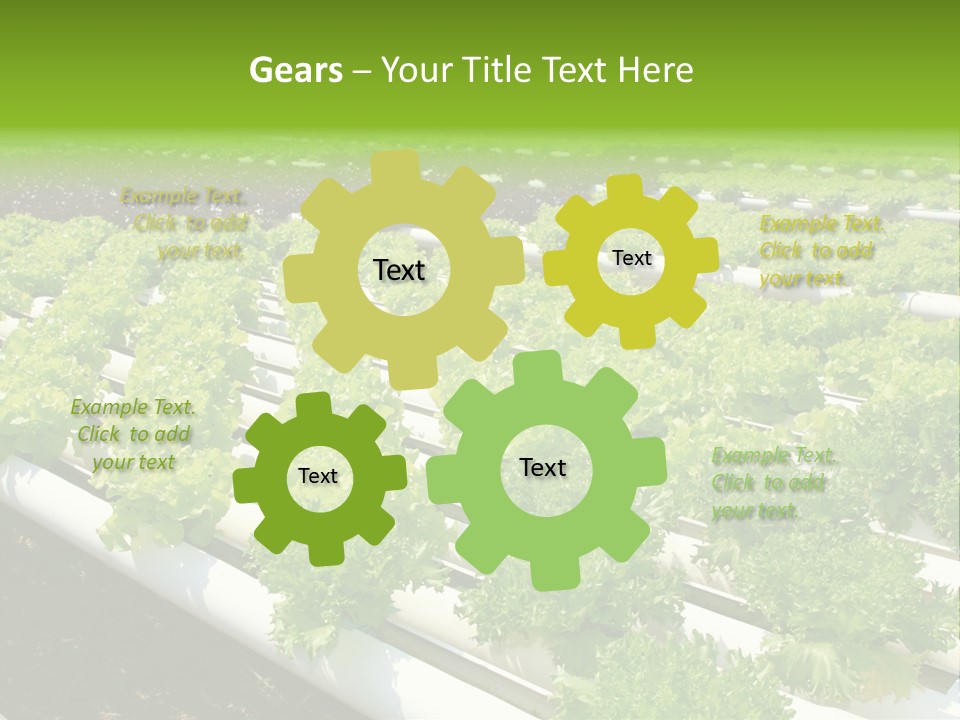 Growing Good Background PowerPoint Template