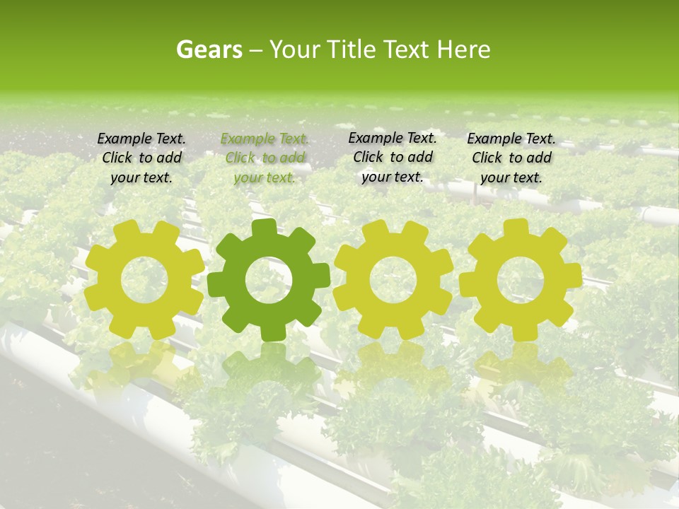 Growing Good Background PowerPoint Template