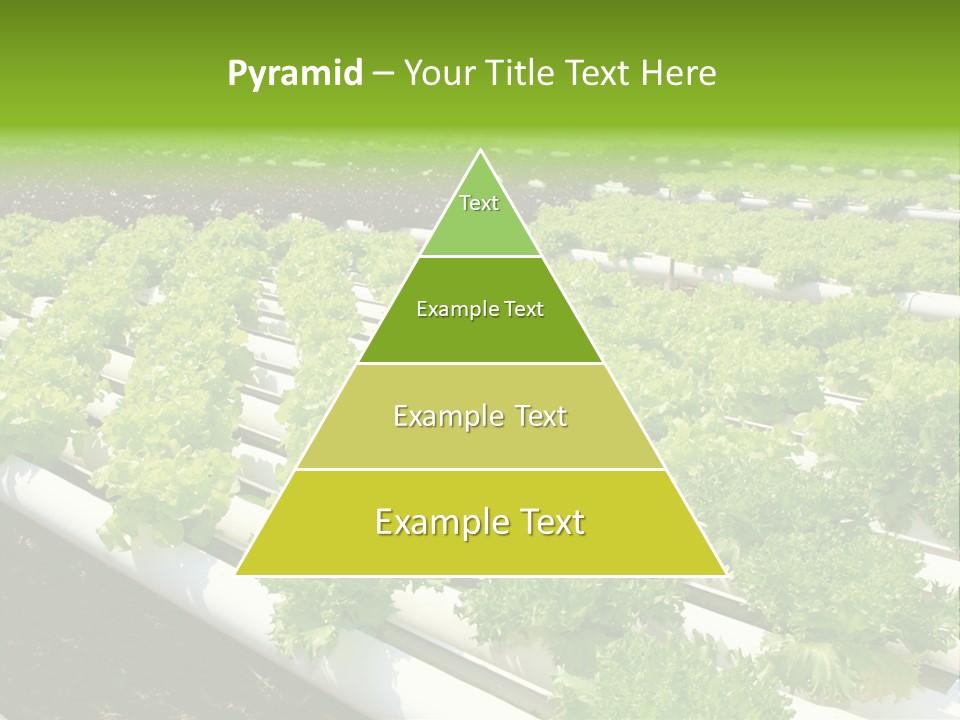 Growing Good Background PowerPoint Template
