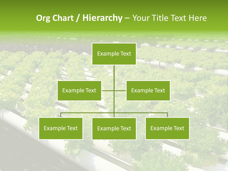Growing Good Background PowerPoint Template