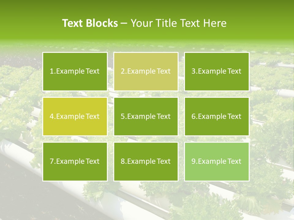 Growing Good Background PowerPoint Template