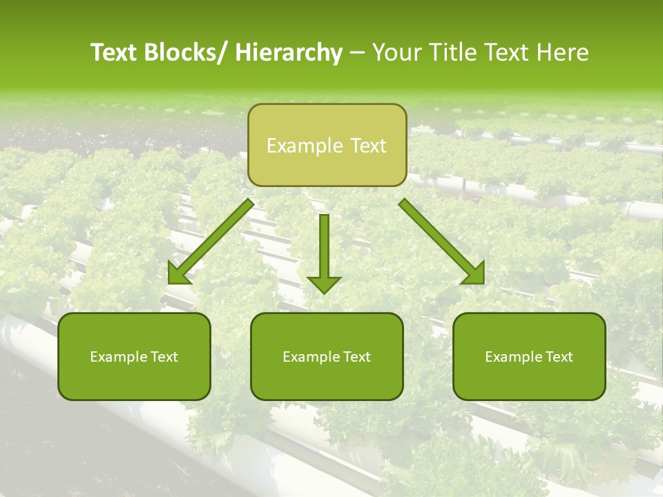 Growing Good Background PowerPoint Template