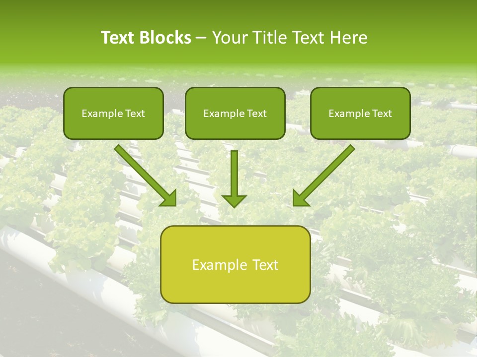 Growing Good Background PowerPoint Template