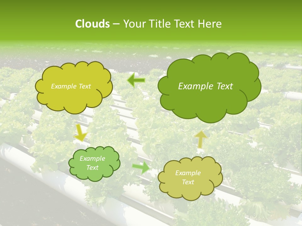 Growing Good Background PowerPoint Template