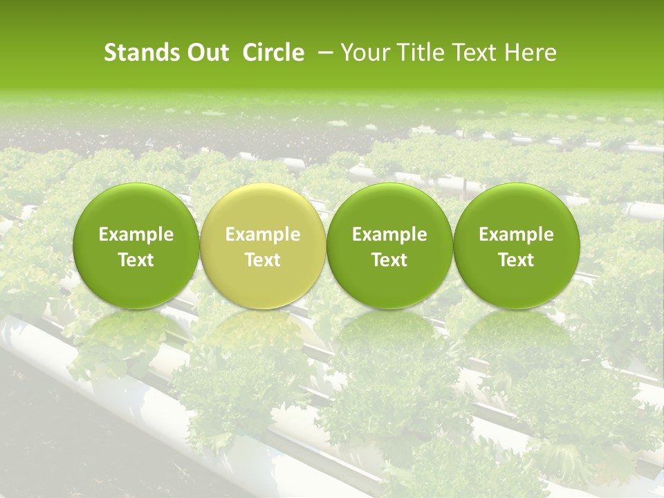 Growing Good Background PowerPoint Template