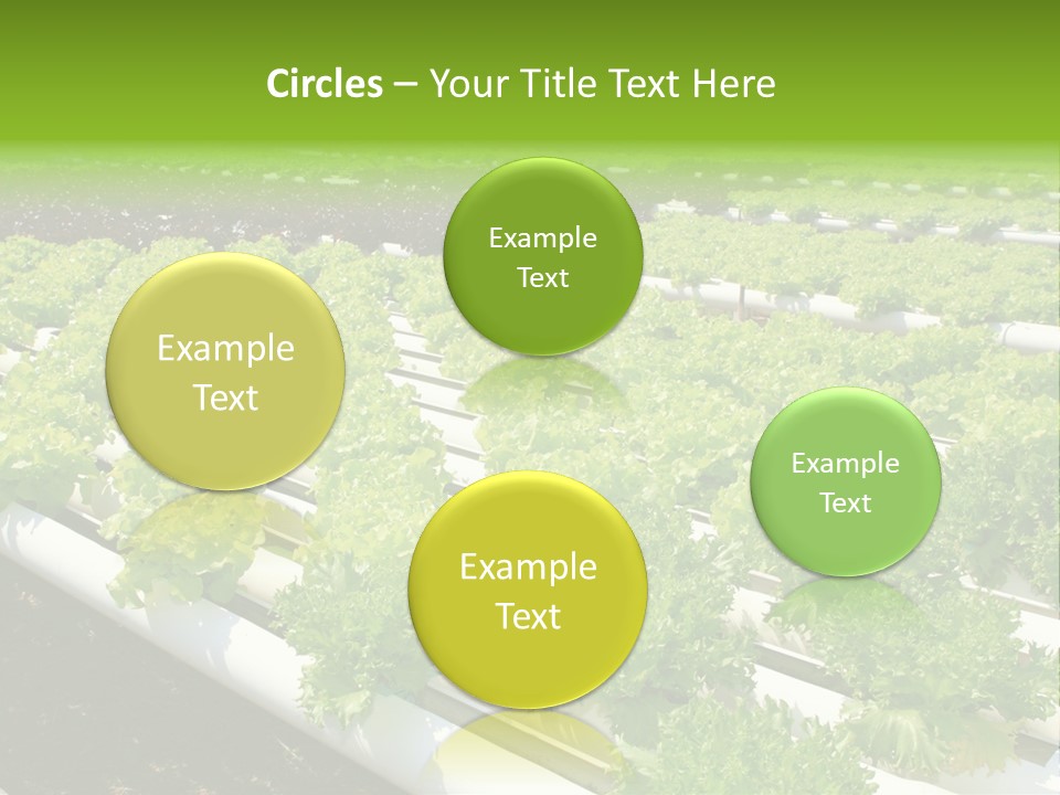 Growing Good Background PowerPoint Template