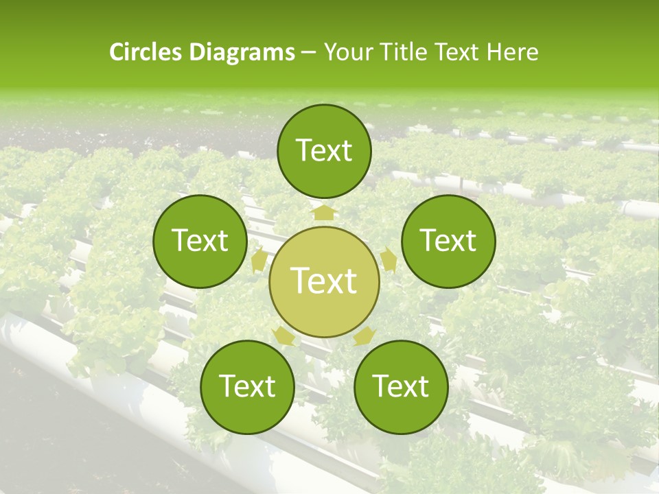 Growing Good Background PowerPoint Template