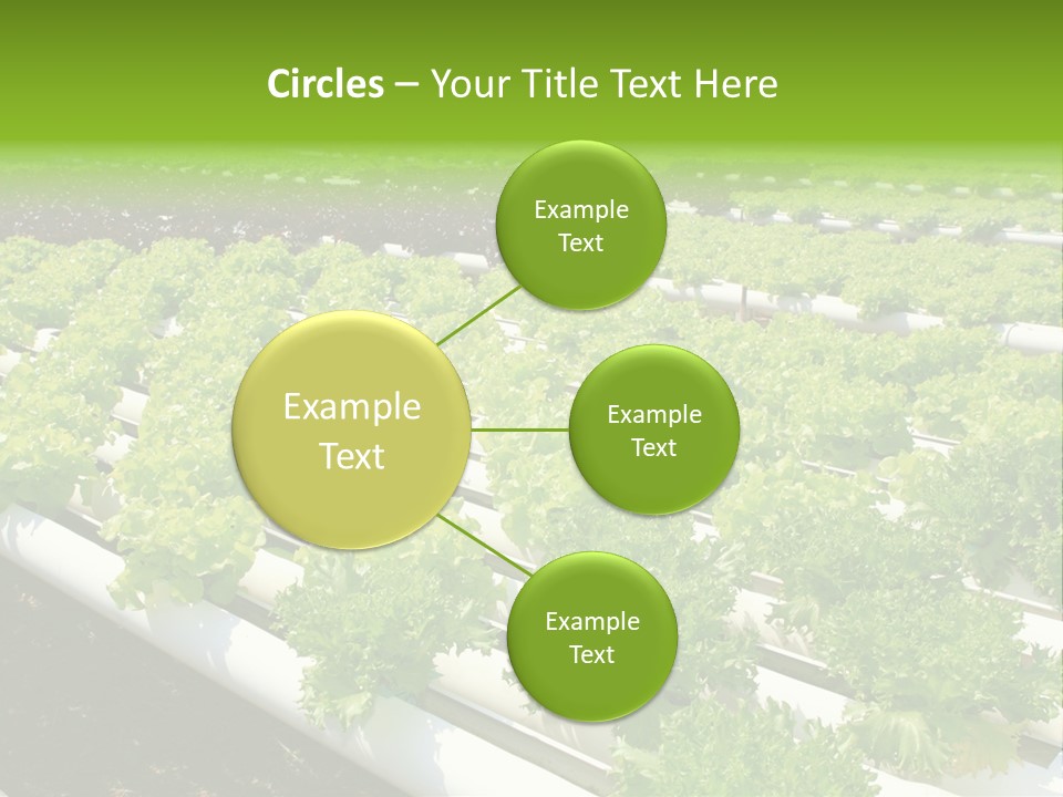 Growing Good Background PowerPoint Template