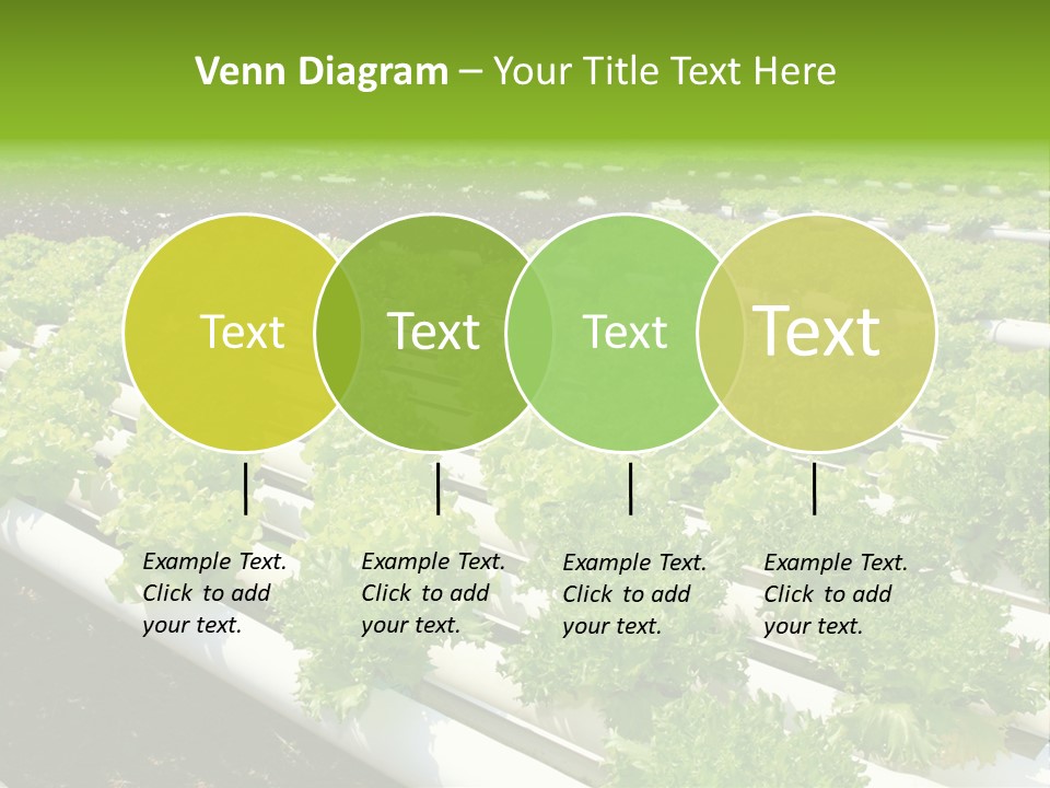 Growing Good Background PowerPoint Template